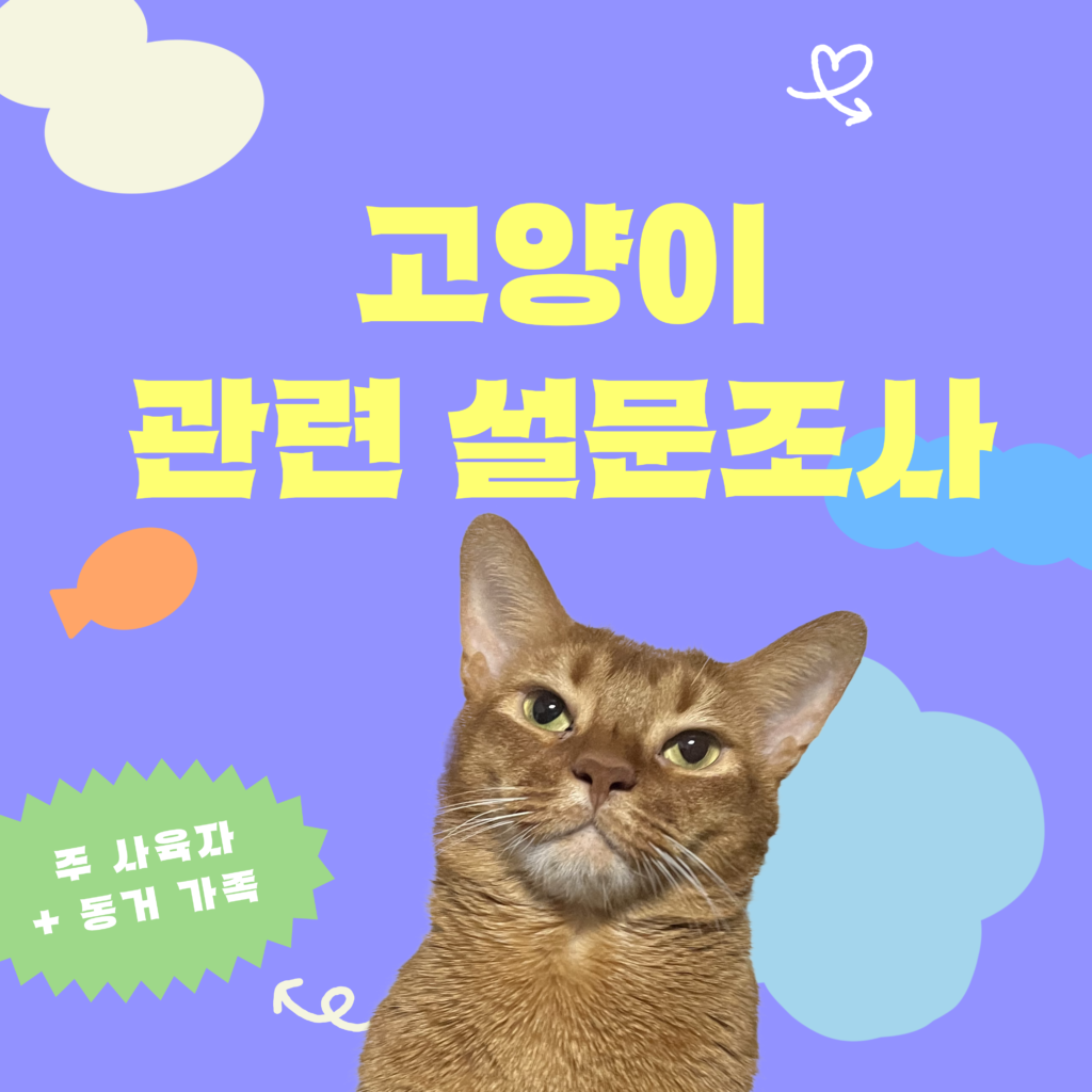 20260923syj.png